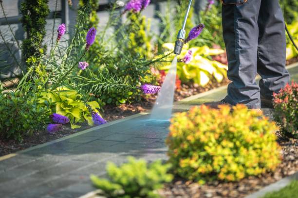 Best Soft Washing  in Calverton, NY